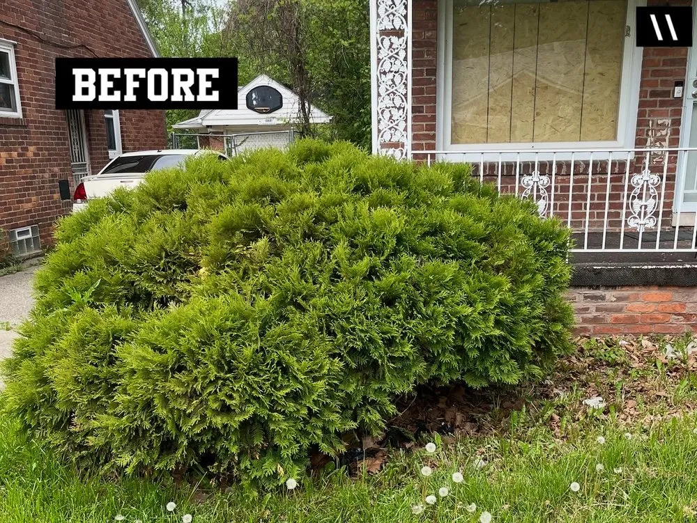 Expert residential landscaping in Bloomfield Hills, MI by DARNGOOD Landscaping