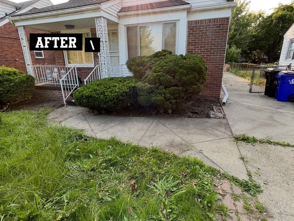 Expert yard cleanup service near you in Bloomfield Hills, MI by DARNGOOD Landscaping