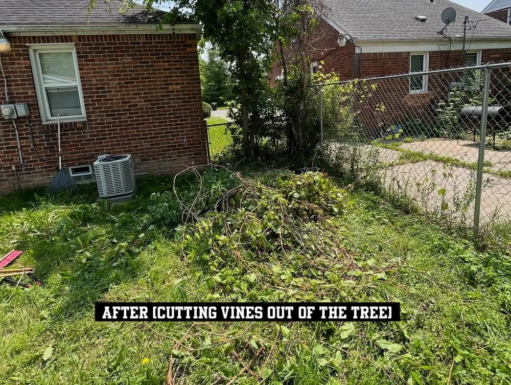 Professional residential landscaping in Bloomfield Hills, MI - DARNGOOD Landscaping