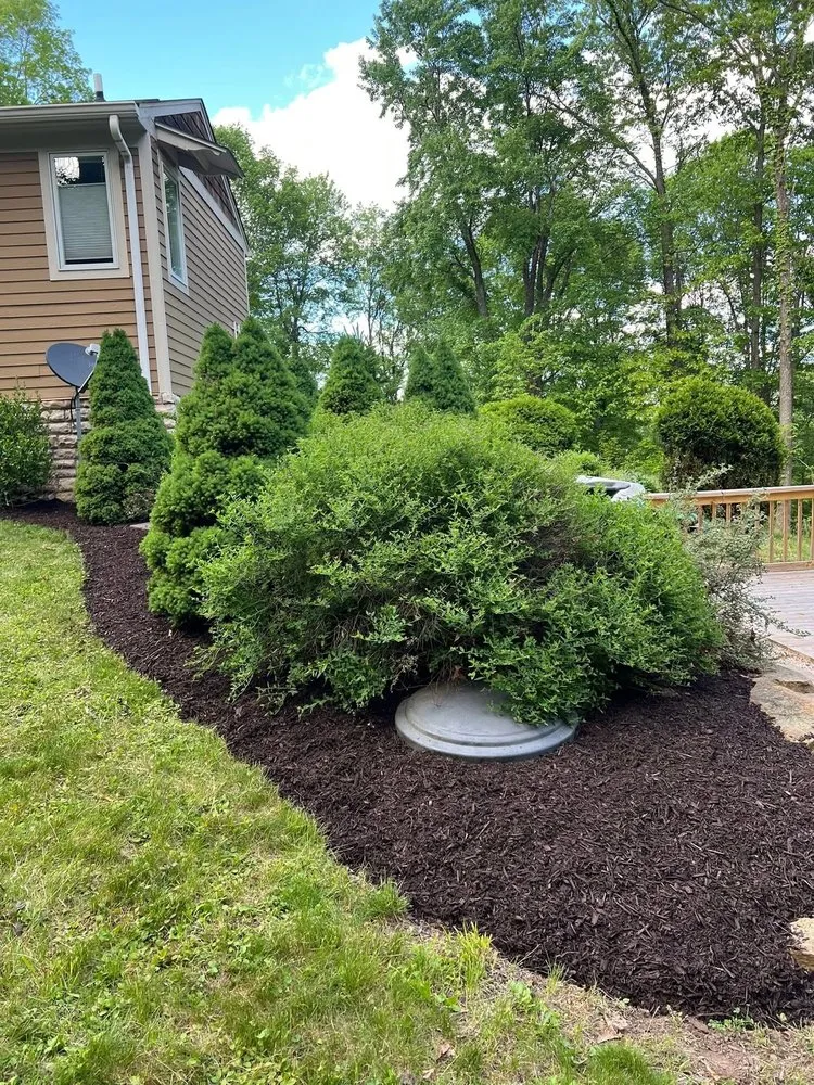Affordable landscape installation in Georgetown, PA by Darnley Developing