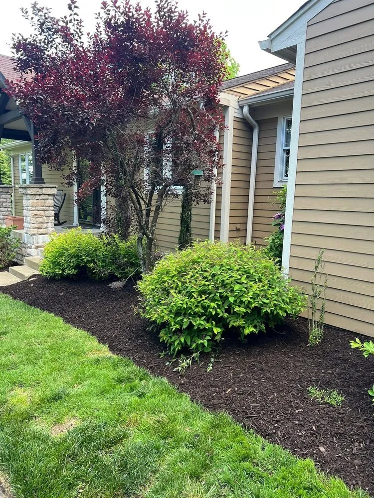 Reliable yard cleanup service for outdoor upgrades across Georgetown, PA - Darnley Developing