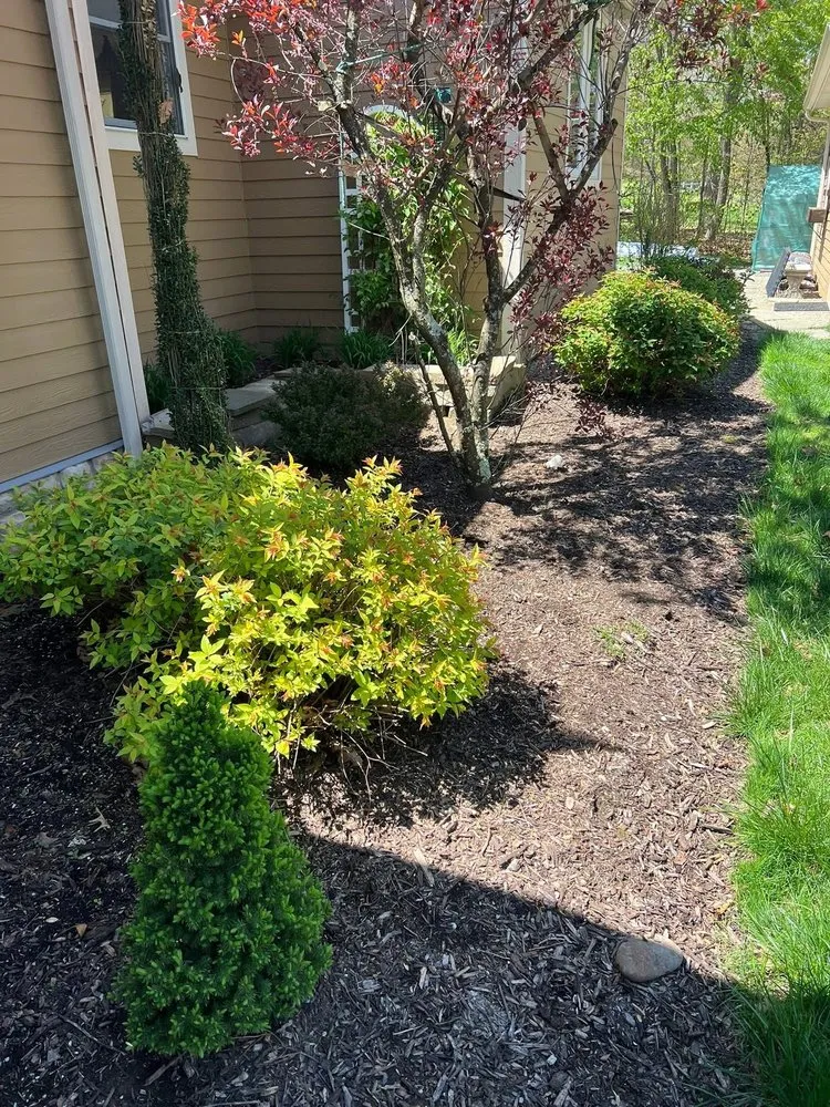 Trusted yard cleanup service experts serving Georgetown, PA - Darnley Developing