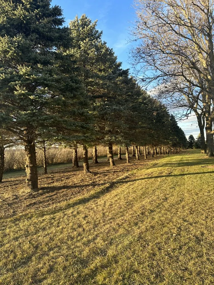 Expert outdoor landscaping in Manson, IA - Darr Lawn Service