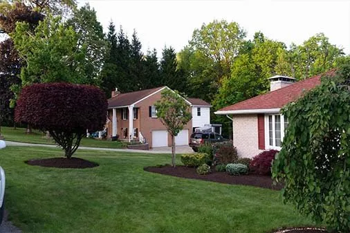 Professional yard cleanup service in Johnstown, PA - Darr Tree & Landscape