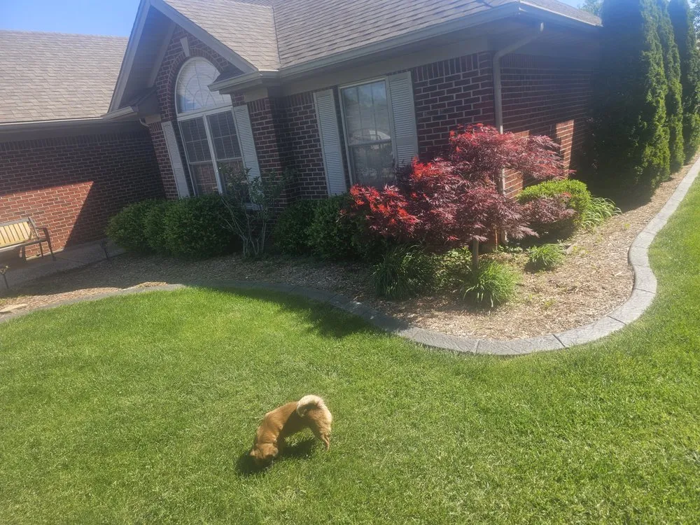 Top-rated outdoor landscaping in Floyds Knobs, IN by Darrells Do It All Service