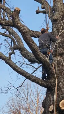 Darrells Do It All Service Logo