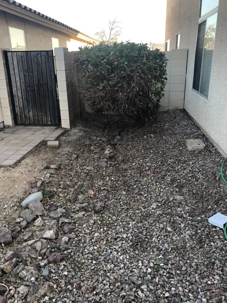 Trusted lawn mowing service for year-round maintenance in Buckeye, AZ by Darren and Son Lawn Care