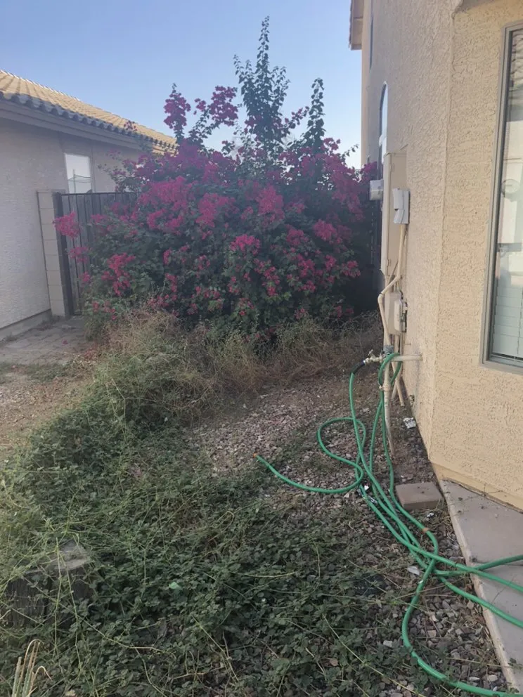 Local residential landscaping near you across Buckeye, AZ - Darren and Son Lawn Care