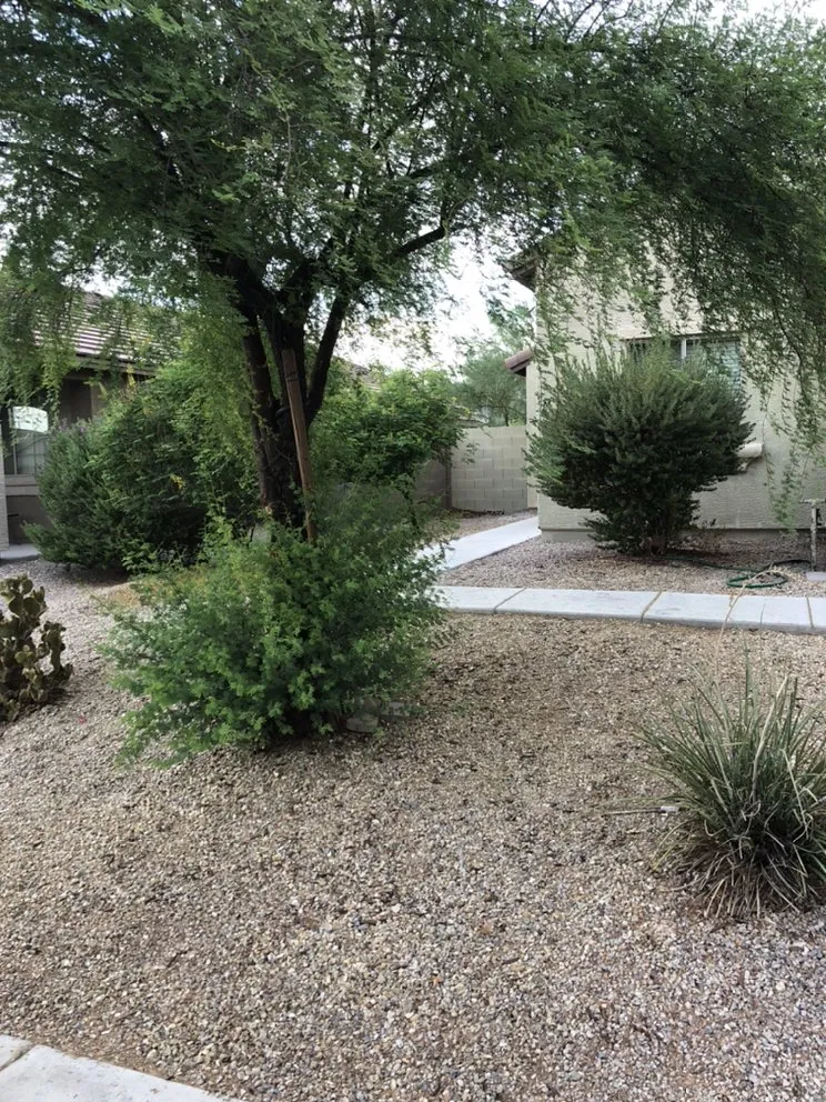 Custom outdoor landscaping in Buckeye, AZ - Darren and Son Lawn Care