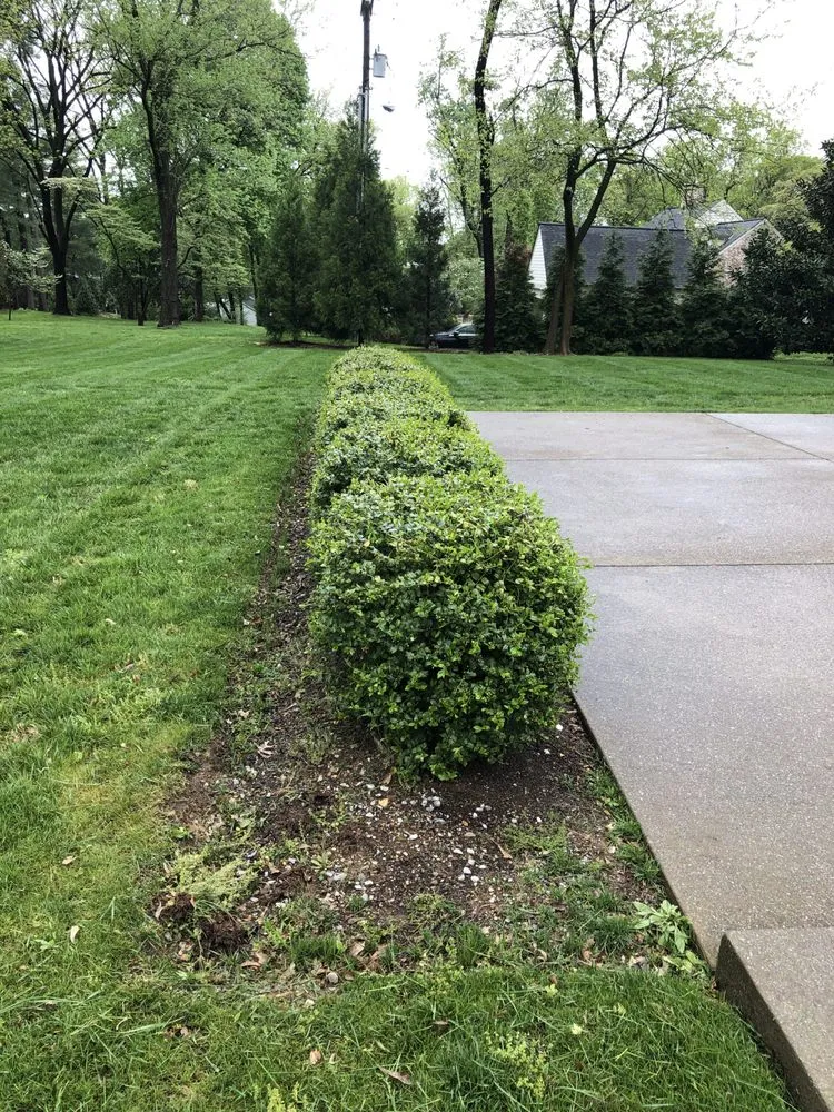 Affordable garden landscaping for beautiful yards across Nashville, TN - Darren Bishop Landscape-Design