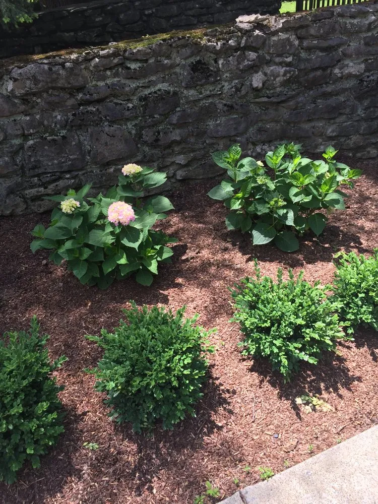 Top-rated yard maintenance in Nashville, TN - Darren Bishop Landscape-Design