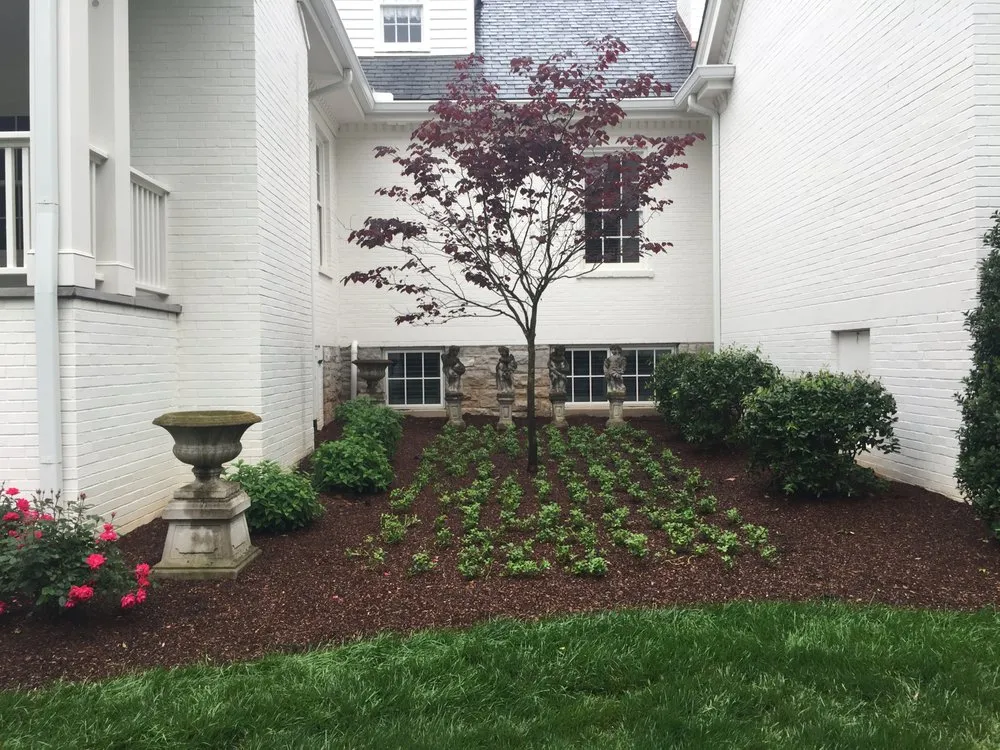Trusted yard cleanup service in Nashville, TN by Darren Bishop Landscape-Design