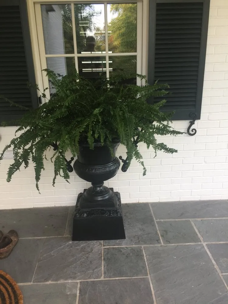 Custom lawn care service experts serving Nashville, TN - Darren Bishop Landscape-Design