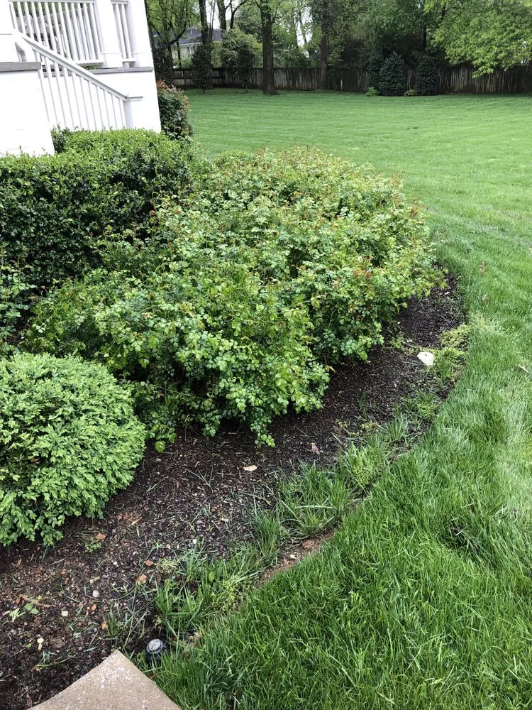 Custom residential landscaping experts serving Nashville, TN - Darren Bishop Landscape-Design