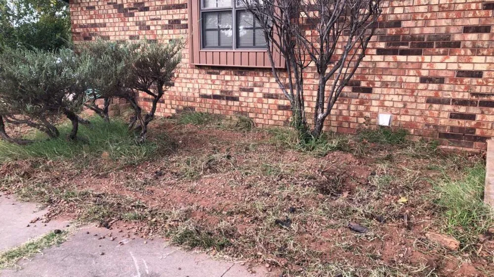 Trusted residential landscaping in Mustang, OK - Darrow landscapes