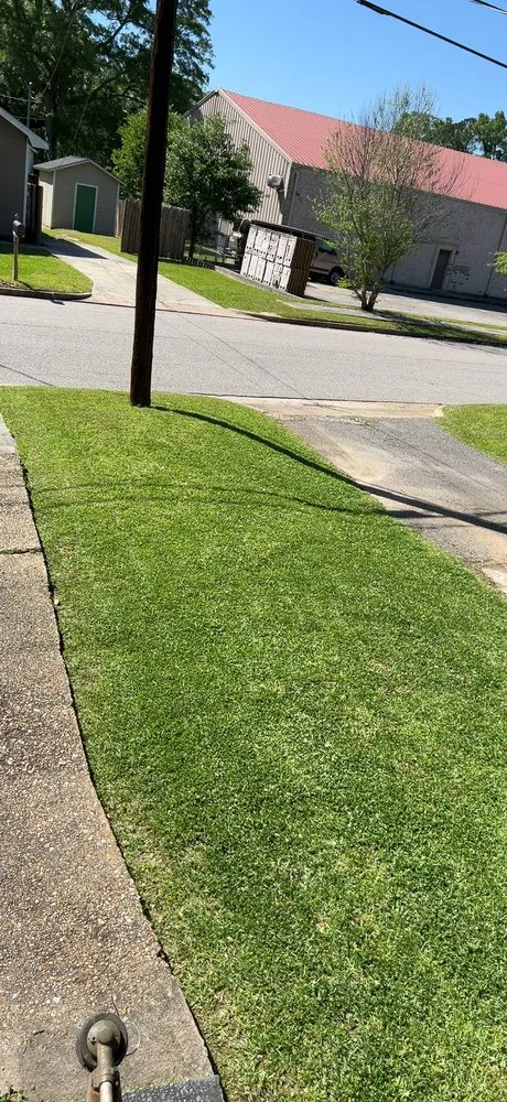 Expert lawn mowing service in Mobile, AL by Darryl and Harold custom cuts