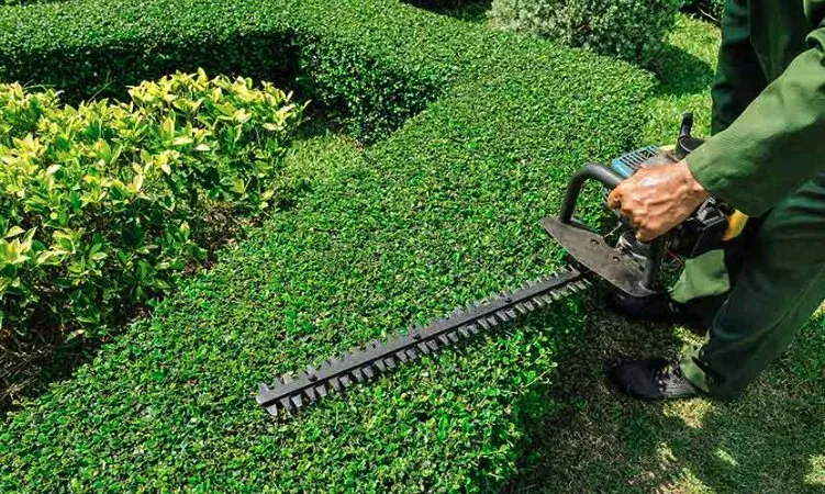 Reliable lawn care service for residential properties across Mobile, AL - Darryl and Harold custom cuts