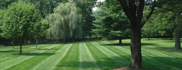 Expert lawn mowing service experts serving Mobile, AL - Darryl and Harold custom cuts