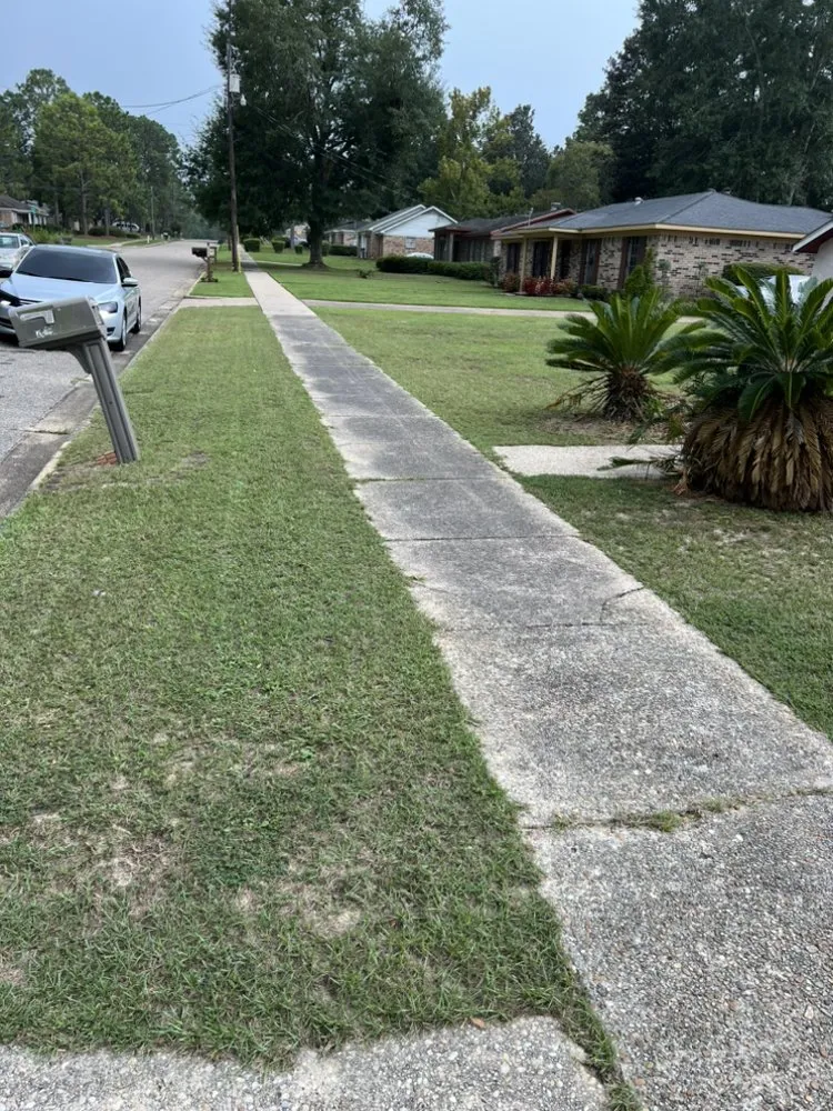 Top-rated residential landscaping in Mobile, AL by Darryl and Harold custom cuts