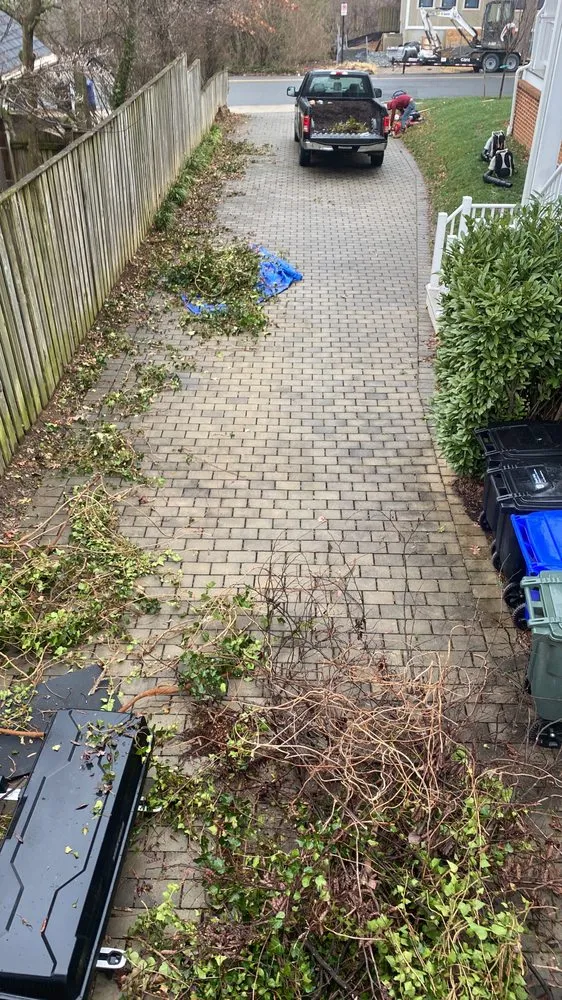 Trusted landscape design near you in Falls Church, VA by Darvin Landscaping Service