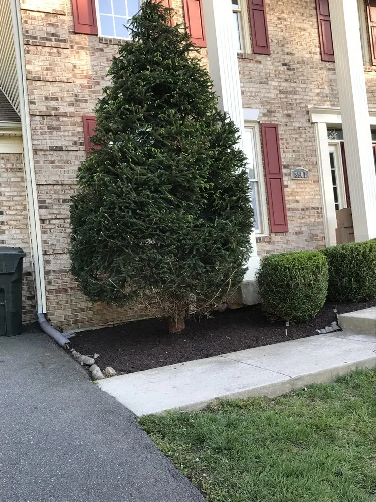 Trusted garden landscaping in Falls Church, VA - Darvin Landscaping Service