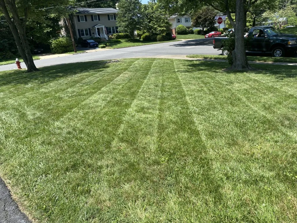 Custom landscaping services in Falls Church, VA - Darvin Landscaping Service