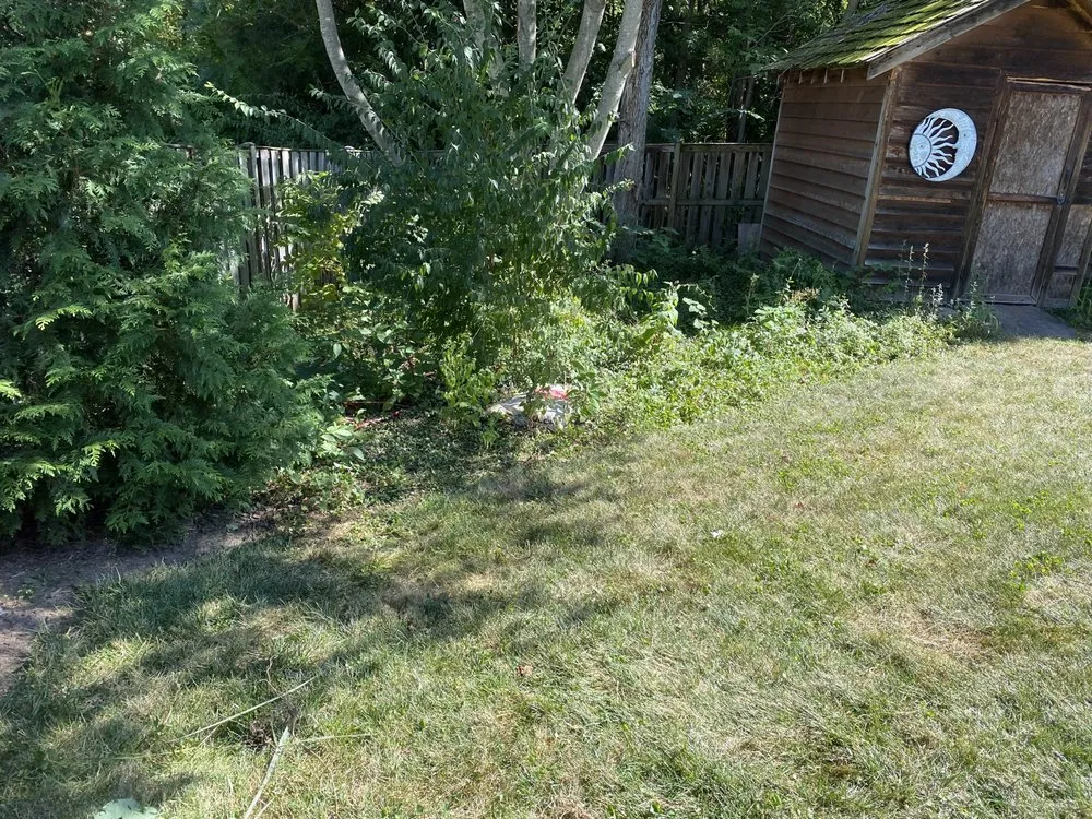 Affordable yard maintenance experts serving Falls Church, VA - Darvin Landscaping Service