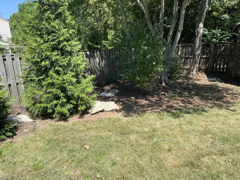 Affordable lawn care service with custom design across Falls Church, VA - Darvin Landscaping Service