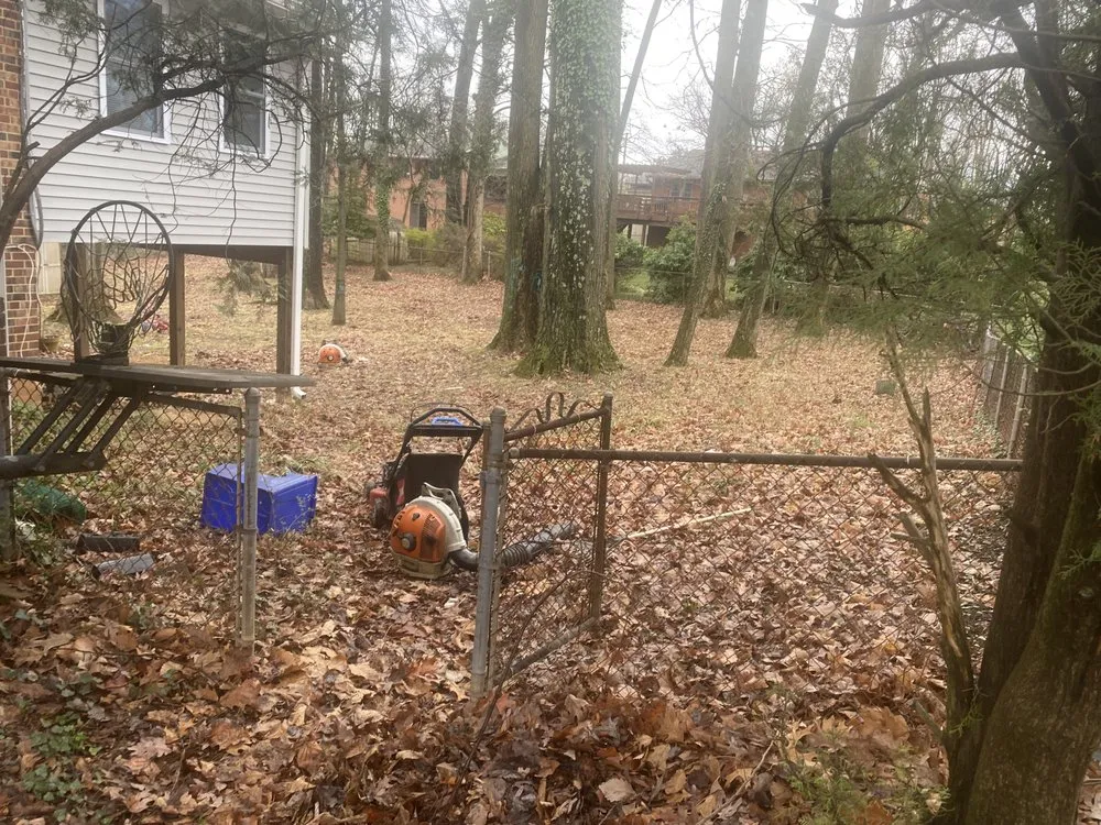 Custom yard maintenance in Falls Church, VA by Darvin Landscaping Service