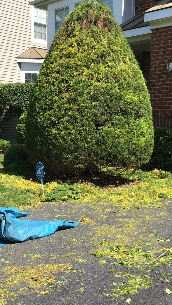 Reliable garden landscaping experts serving Falls Church, VA - Darvin Landscaping Service