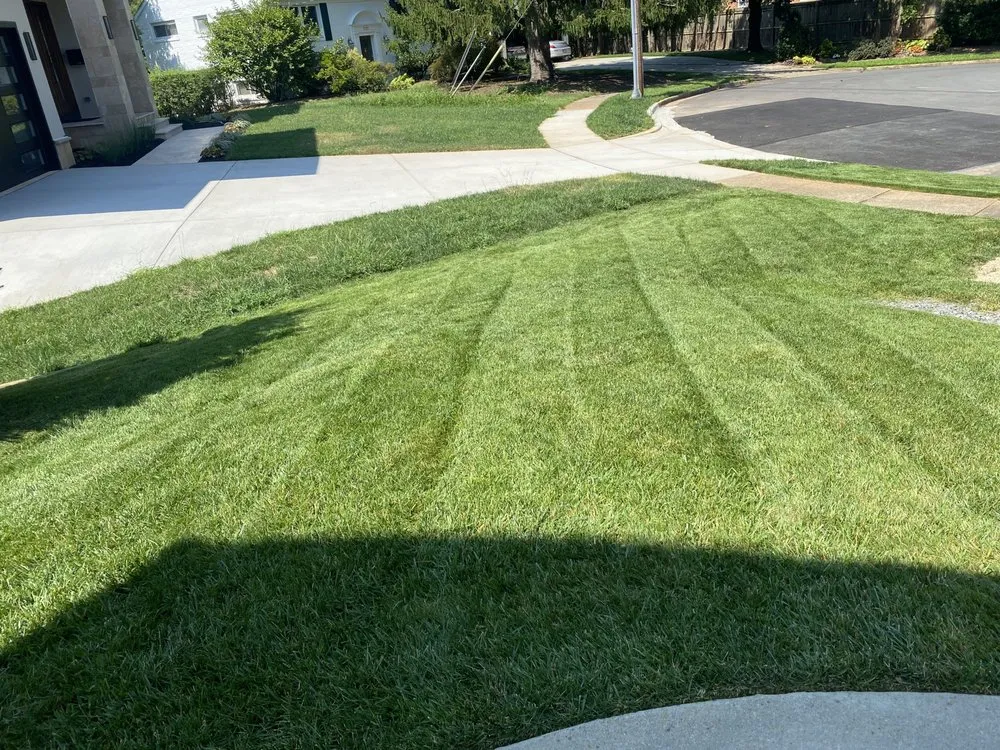 Affordable outdoor landscaping in Falls Church, VA - Darvin Landscaping Service