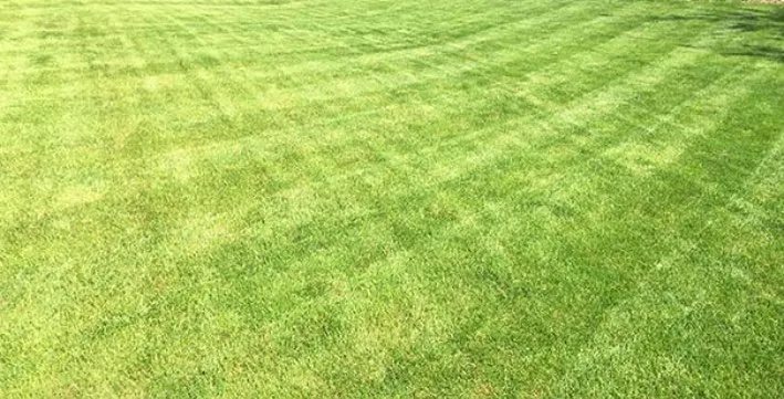 Local yard maintenance with custom design in Rock Hill, SC by Das D Lawncare