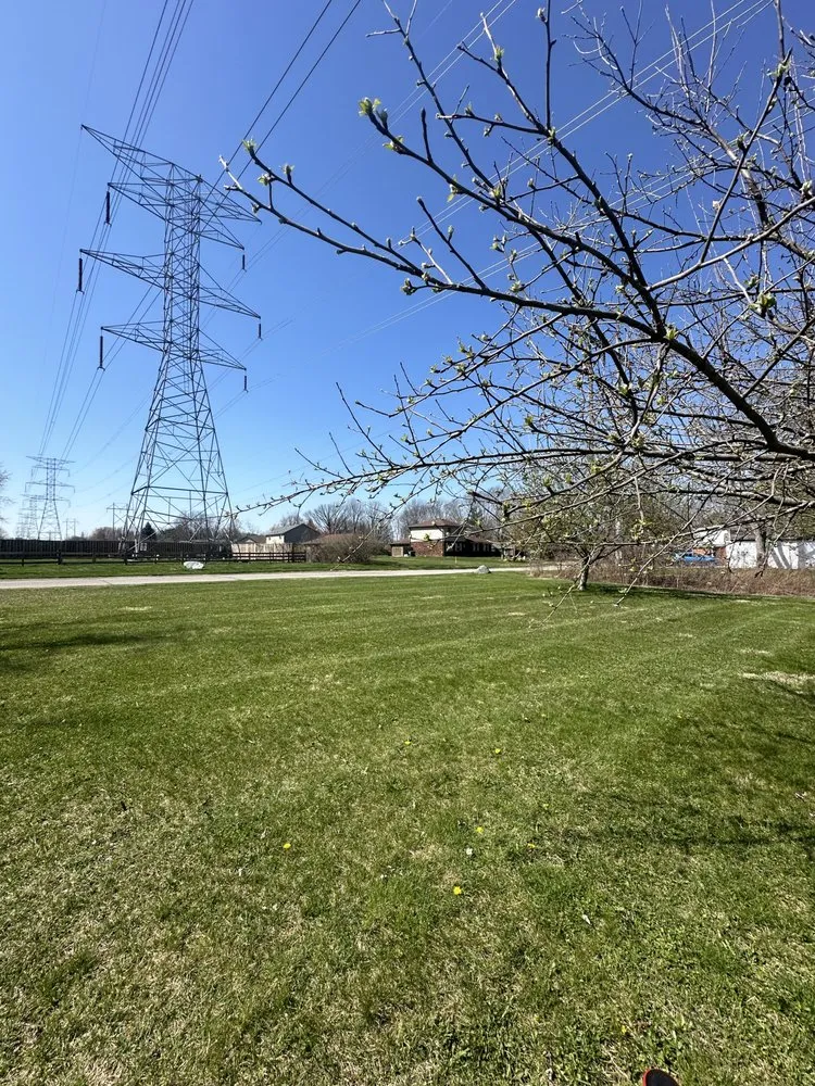 Top-rated landscape design in Indianapolis, IN - Das Lawncare & Maintenance