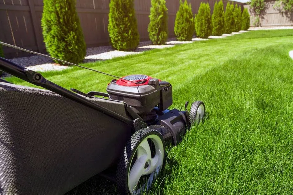 Reliable lawn mowing service in Charlotte, NC by D&A's Pressure Washing & Lawn Care