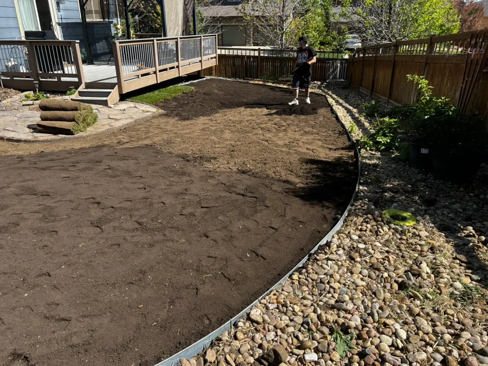 Professional yard maintenance in Brighton, CO by Dasilva and Sons Property Services