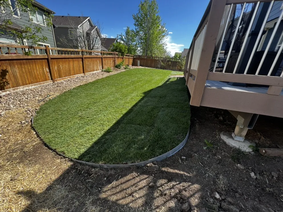 Custom yard maintenance in Brighton, CO - Dasilva and Sons Property Services