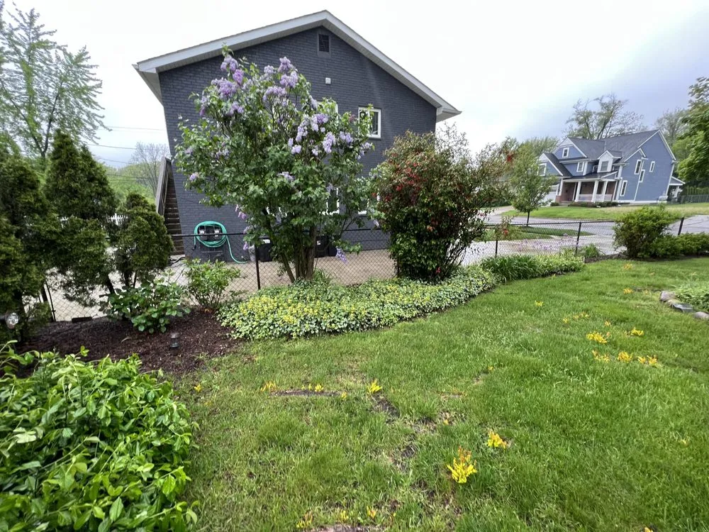 Affordable landscape design in Northville, MI by Daskal Landscaping