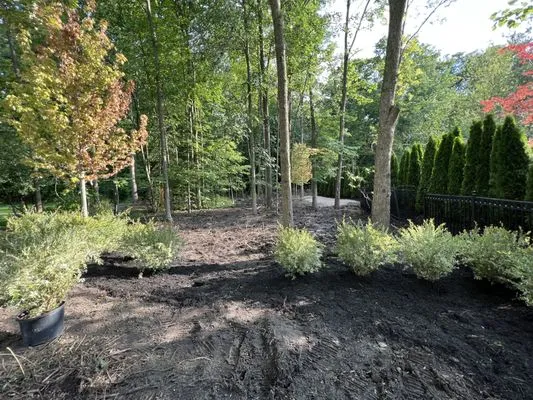 Daskal Landscaping