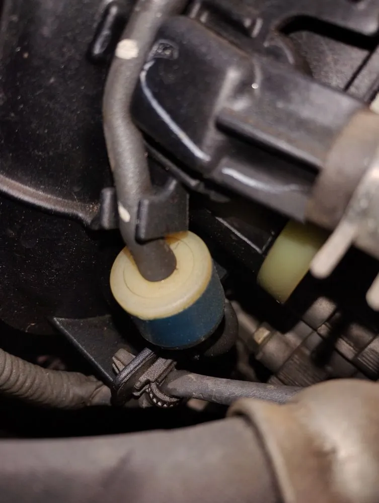 Affordable residential landscaping in Buffalo, SC - DAT Home Care and Landscaping