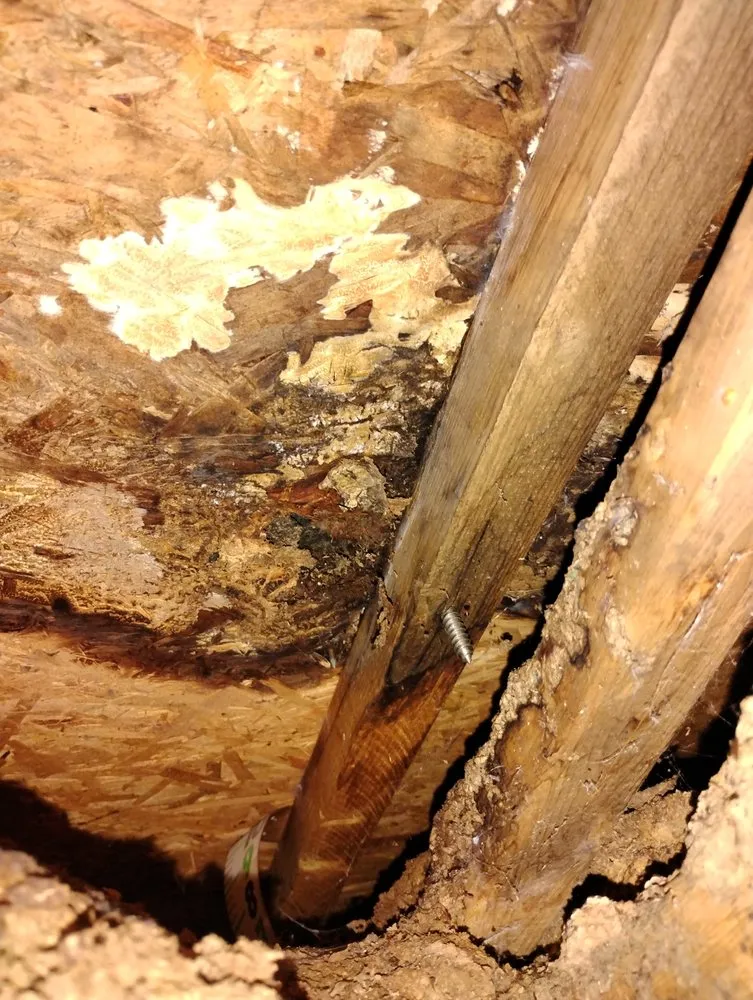 Local outdoor landscaping experts serving Buffalo, SC - DAT Home Care and Landscaping