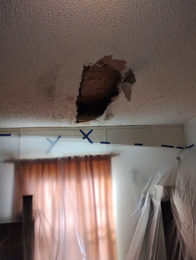 Custom landscape installation in Buffalo, SC - DAT Home Care and Landscaping