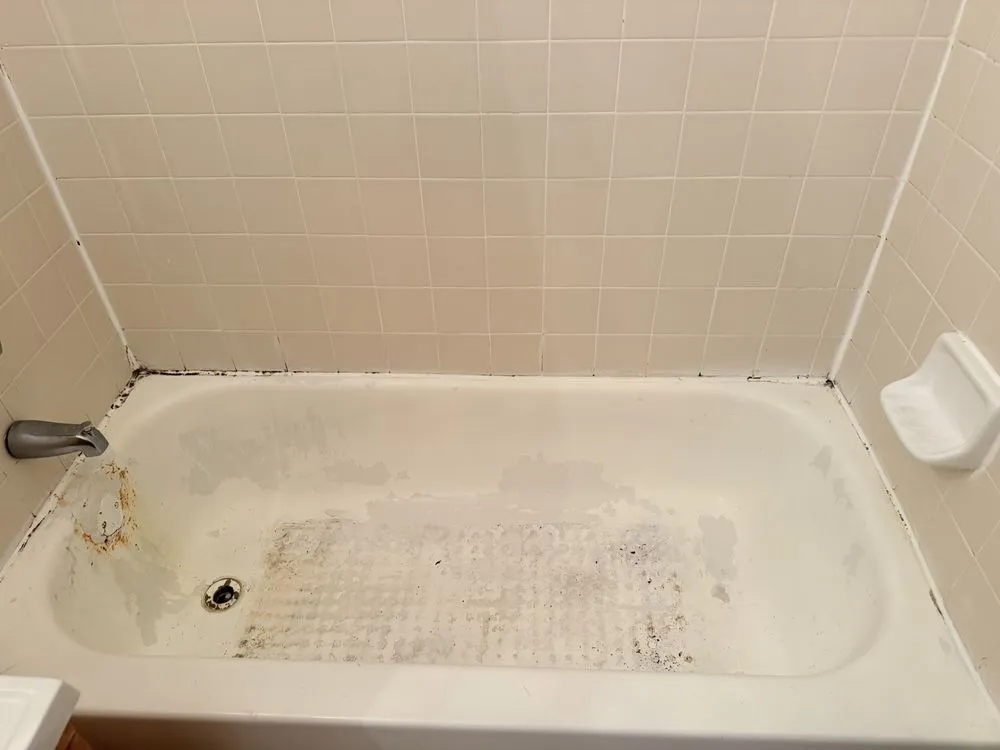 Reliable yard cleanup service near you across New York, NY - Datco Aesthetics Construction