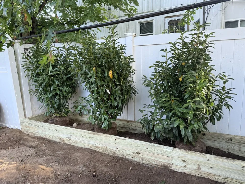 Expert lawn care service experts serving New York, NY - Datco Aesthetics Construction