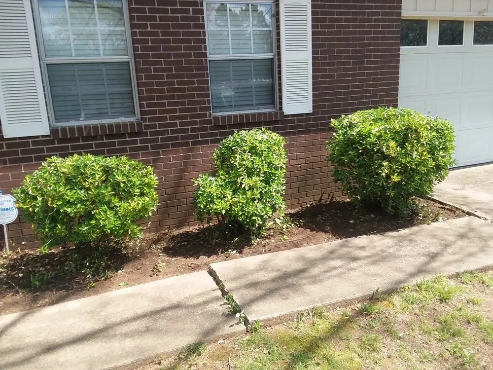 Top-rated yard maintenance for residential properties across Jacksonville, AR - DATS Services