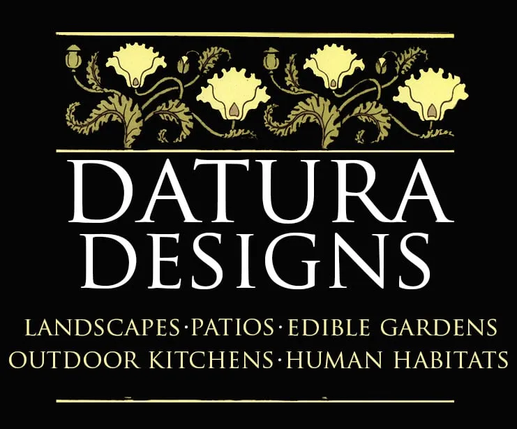 Professional yard maintenance in Emeryville, CA - Datura Designs