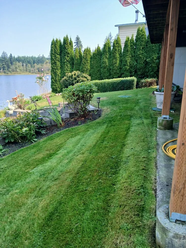 Trusted landscape design with custom design across Everett, WA - Dau and King Landscaping and Pruning Services