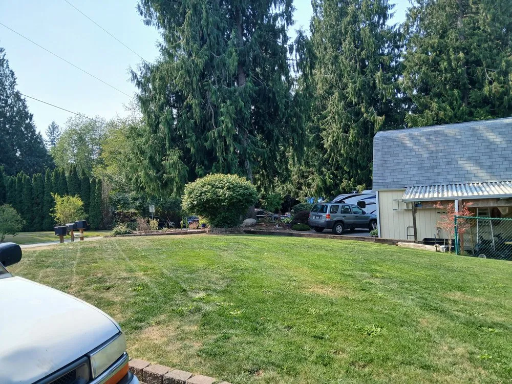 Affordable yard maintenance experts serving Everett, WA - Dau and King Landscaping and Pruning Services