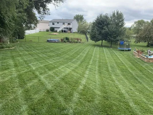 Daugherty Lawn & Landscape Logo