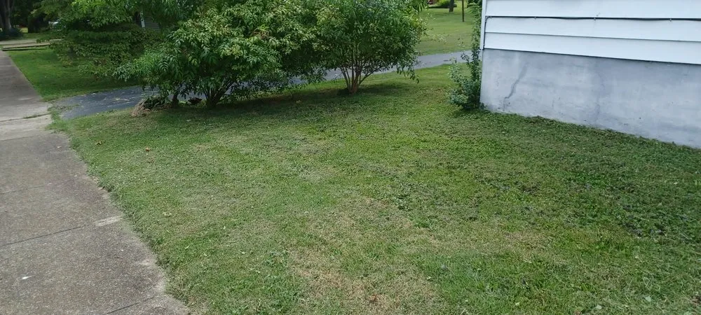Trusted yard maintenance for residential properties across Bonne Terre, MO - Daugherty's Lawn Care