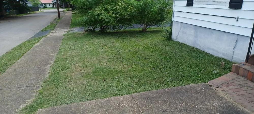 Top-rated yard cleanup service in Bonne Terre, MO by Daugherty's Lawn Care